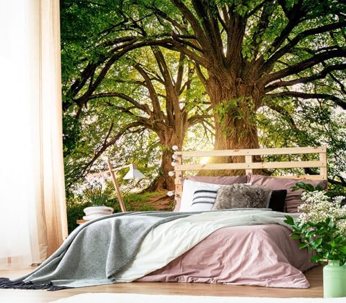 XMPMBM-Sunshine Forest backsplash Decorative Wallpaper Large Tree Bedroom by Moredurableandtear-resistantthantraditionalwallpaperwithexcellentadhesion