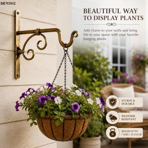 Serenz Antique Wall Plant Hanger Bracket - Image 4