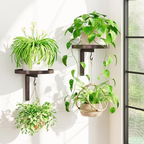 iDavosic.ly Plant Wall Hanger Holder Set of 2 by iDavosicly