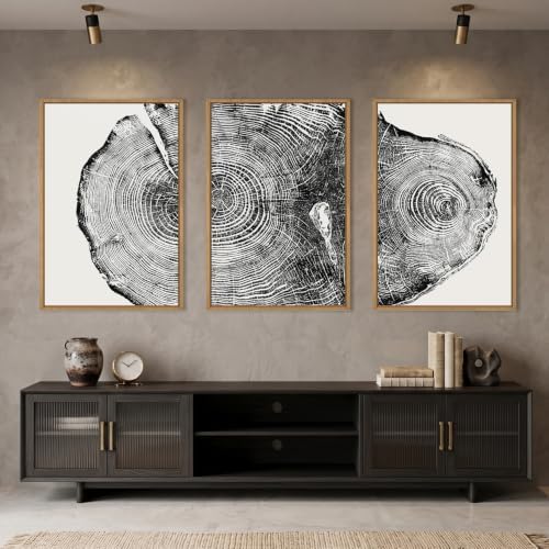 Aryroi Large Vintage Tree Ring Framed Canvas Wall Art Set- 16"x24"x3 - Image 2