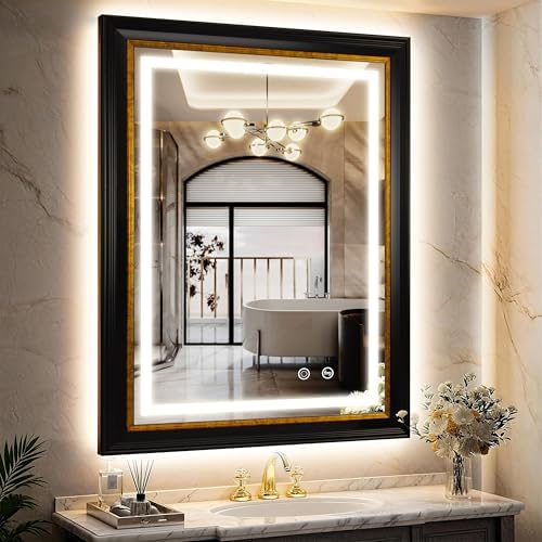 ROLOVE 23x33 Inch Lighted Baroque Bathroom Mirror, Antique Black and Gold by ROLOVE