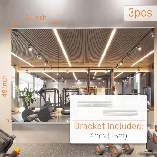 pertetey 48 x 24 in Home Gym Mirrors - Image 5