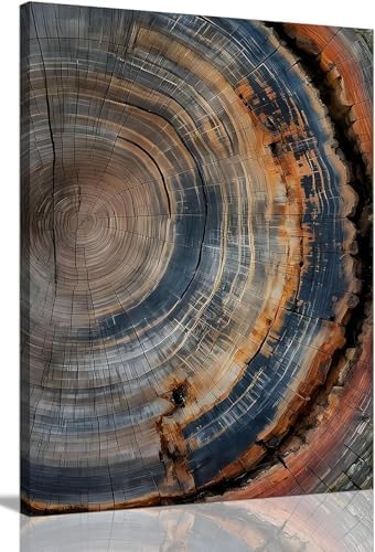 Tree Ring Wall Art Canvas, Modern Nature Decor by IBHJSARTWallArt