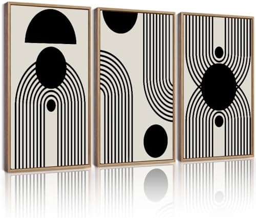 Drsoum Lager 16x24in Black and White Abstract Framed Wall Art Decor Duotone by Drsoum