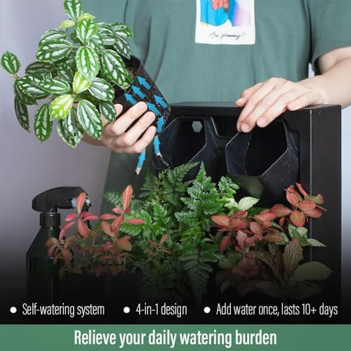 Wall-Mounted Planters Indoor, Living Wall Planter - Image 4