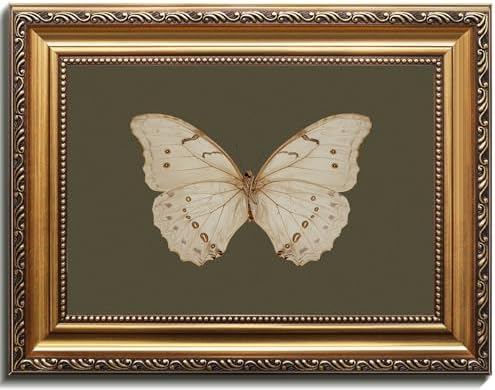 Uniro Vintage Gold Framed Wall Art, Classical Butterfly Oil Paintings, Dark by uniro
