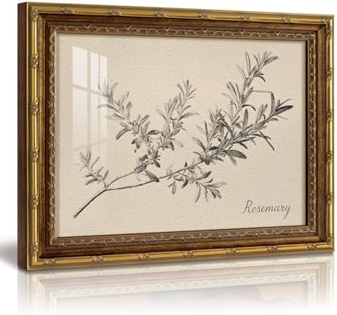 InSimSea Gold Framed Vintage Rosemary Botanical Wall Art, 13x16 Inch by InSimSeaArt