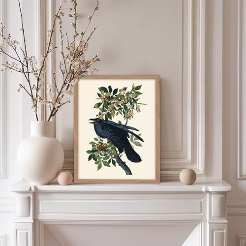 Poster Master Vintage John James Audubon Poster - Image 5