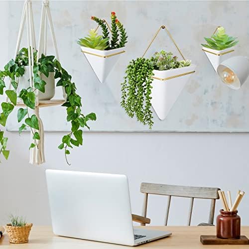 Rtteri 18 Pcs Wall Hanging Planter - Image 6