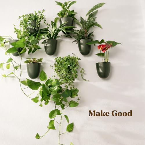 Make Good PlantPod Luxe Self-Watering Wall Planters - Image 6