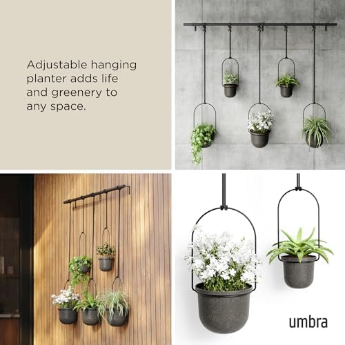 Umbra Triflora Hanging Planter, Window Herb Garden - Image 4