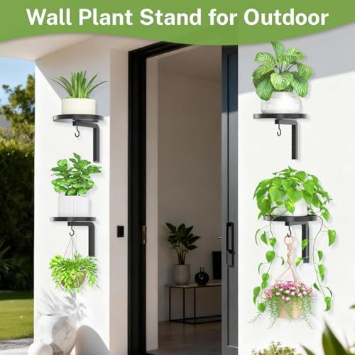 iDavosic.ly Plant Wall Hanger Holder Set of 4 - Image 6