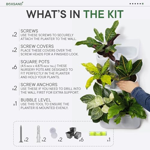 BOXSAND-6 Vertical Wall Planter – Living Wall - Image 7