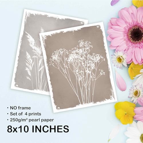 TLESKE Boho Neutral Vintage Fall Botanical Posters Prints Unframed 8x10 Set of 4 - Image 7