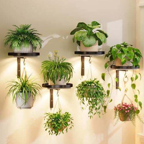 iDavosic.ly Plant Wall Hanger by iDavosicly