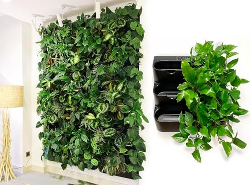 BOXSAND-12 Vertical Wall Planter – Living Wall by BOXSAND
