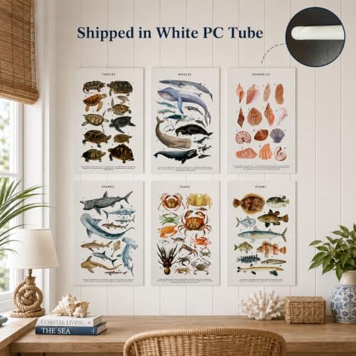 PeuYot Marine Life Wall Art, Unframed Canvas Posters, Vintage Sea Turtle Whale - Image 6