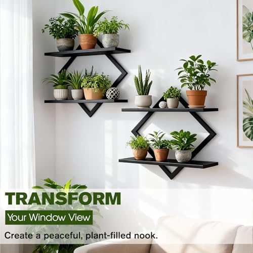 2 Pack Wall Planters for Indoor Plants - Image 3