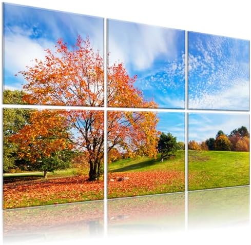 Decorative Acoustic Panels 6 Pack by Hiresc