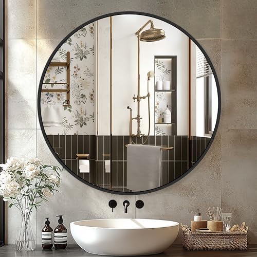 Delma 26 Inch Black Round Circle Mirror by Delma