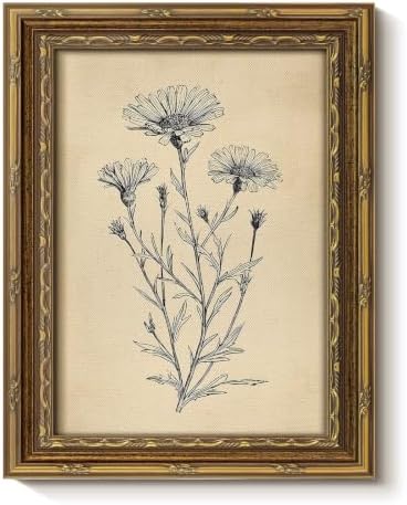 InSimSea Vintage Floral Wall Art, Botanical Sketch Canvas Print, 8x10 Inch by InSimSeaArt