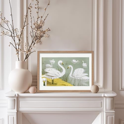 Poster Master Classic Animal Poster - Image 5