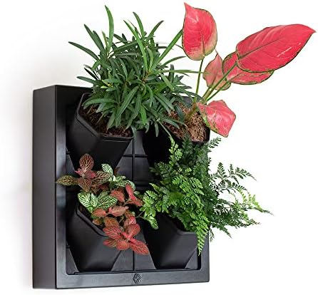 Self Watering Wall Planter by Inspiration+Jungle