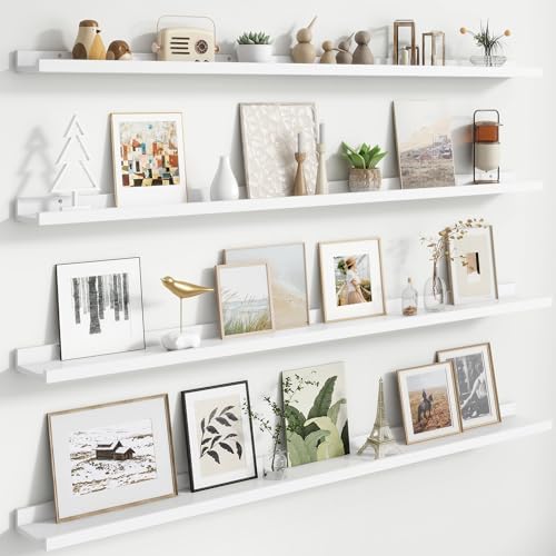 FLYJOE Floating Picture Ledge Shelves by FLYJOE