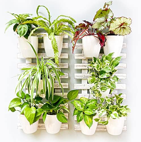 ShopLaLa Wooden Wall Planter by ShopLaLa