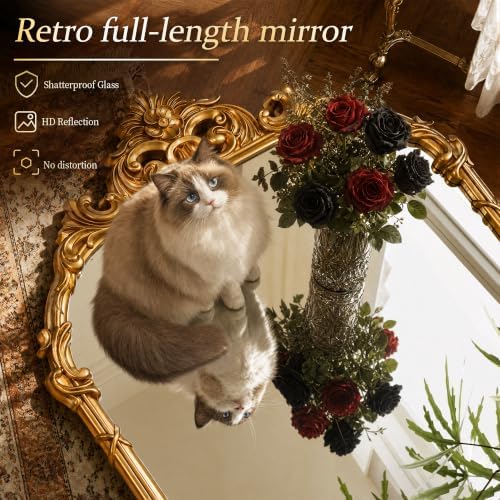 69"x28" Antique Gold Arched Vintage Floor Mirror - Image 3