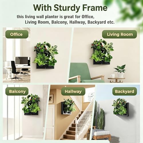 Wall-Mounted Planters Indoor, Living Wall Planter - Image 5