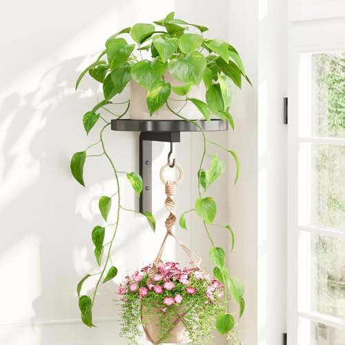 iDavosic.ly Plant Wall Hanger Holder by iDavosicly