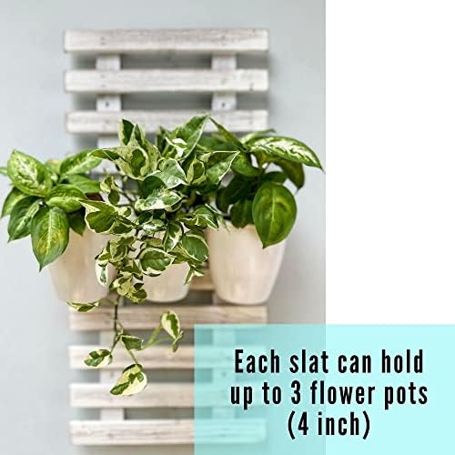 ShopLaLa Wooden Wall Hanging Planter - Image 3