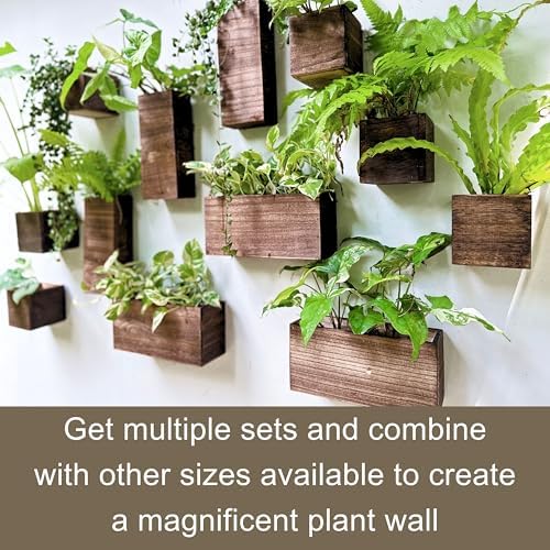 LaLaGreen Wood Planter Box for Plants Wall Planters for Indoor - Image 5