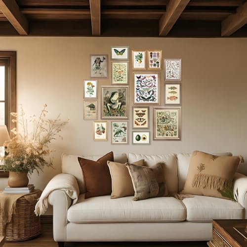 LANCHI95 16 Pcs Unframed Vintage Botanical Biology Art - Image 3