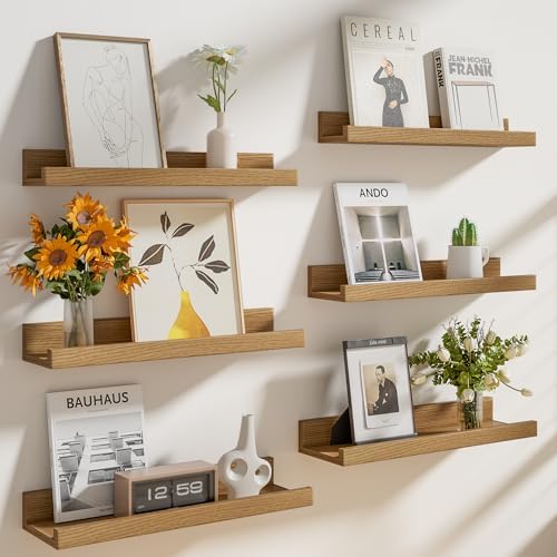 Heimlove 24 Inch Picture Ledge Shelf by Heimlove
