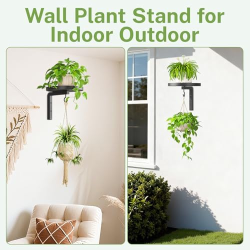 iDavosic.ly Plant Wall Hanger Holder - Image 5