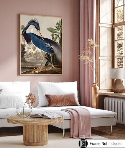 Poster Master Vintage James Audubon Poster - Image 6