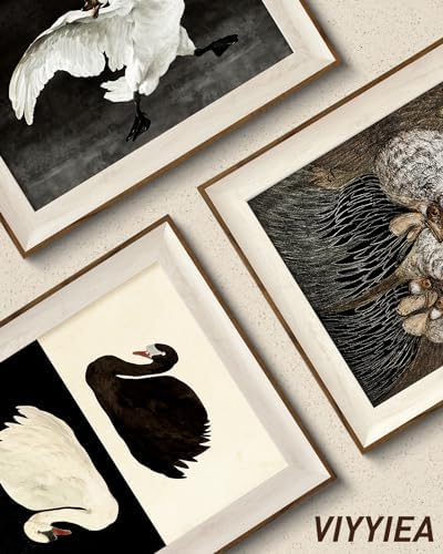 VVIYYIEA Framed Vintage Swan Canvas Wall Art - Image 5