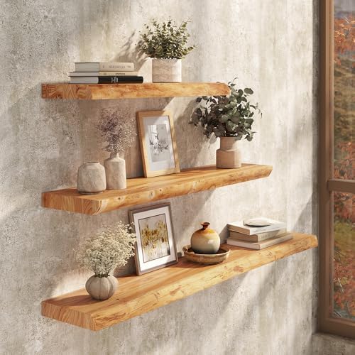 40" Floating Shelves, Solid Elm Wood, Natural Live Edge - Image 2