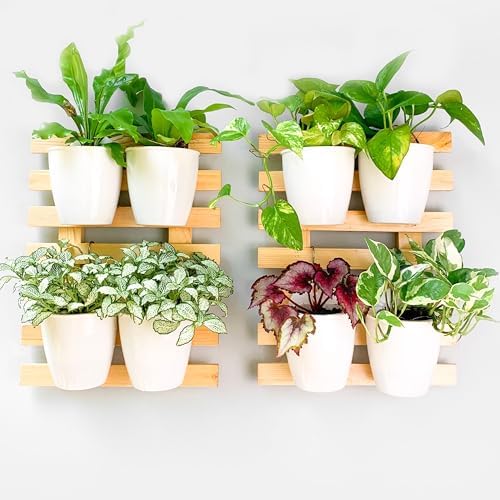 ShopLaLa Wall Planter Wooden Wall Mounted Hanging Planters by ShopLaLa