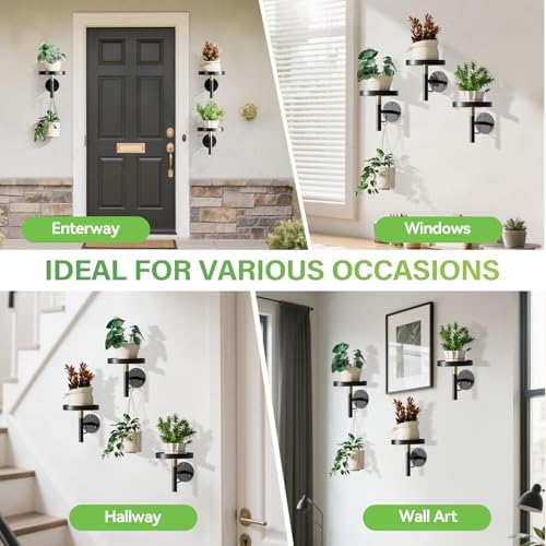 DELLAN Wall Plant Holder, 3 Pack Metal Stand - Image 6