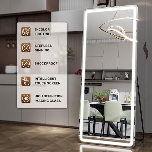 Easly 26x68 inch Full Length Mirror - Image 4