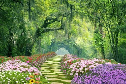 Toolhom Sunny Flowers and Forest Wallpaper - Image 4