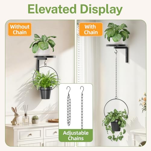 iDavosic.ly Plant Wall Hanger Set of 2 - Image 5