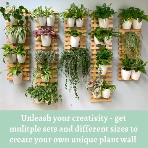 ShopLaLa Wall Planter for Plants Wooden Hanging Planters - Image 5