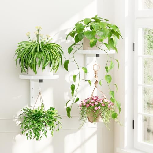 iDavosic.ly Plant Wall Hanger Holder Set of 2 by iDavosicly