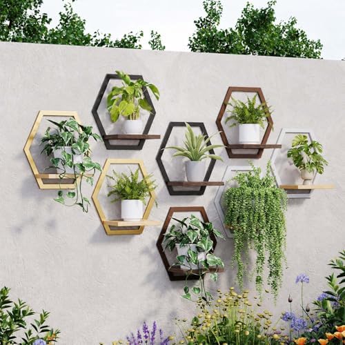 2 Pack Hexagon Wall Plant Stands, 9 Inch Walnut Wood Shelf Coffee - Image 5