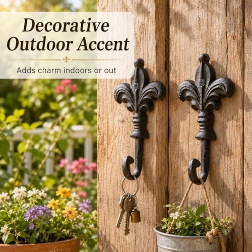 iobiotio Cast Iron Wall Hooks - Image 7