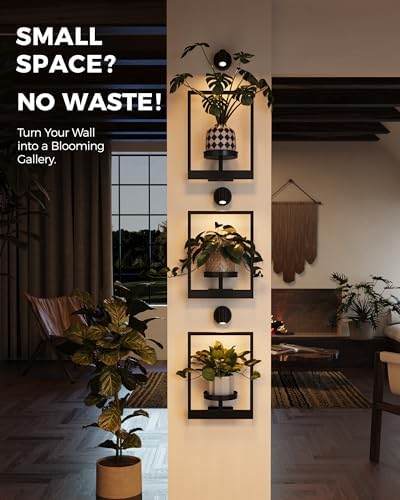 Bamworld Hanging Planters for Indoor Plants Wall Decor Living Room Light - Image 3